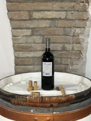 Bolgheri Rosso 'Passi di Orma' 2023 di Orma