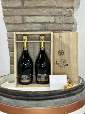 Giulio ferrari 2002 retro