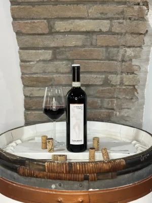 Sagrantino di Montefalco Il Bisbetico Domato di Tabarrini
